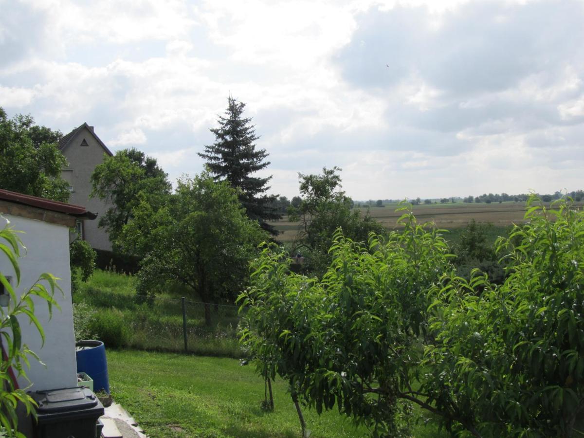 Zum Wiesengrund Im Oderbruch Altglietzen Экстерьер фото