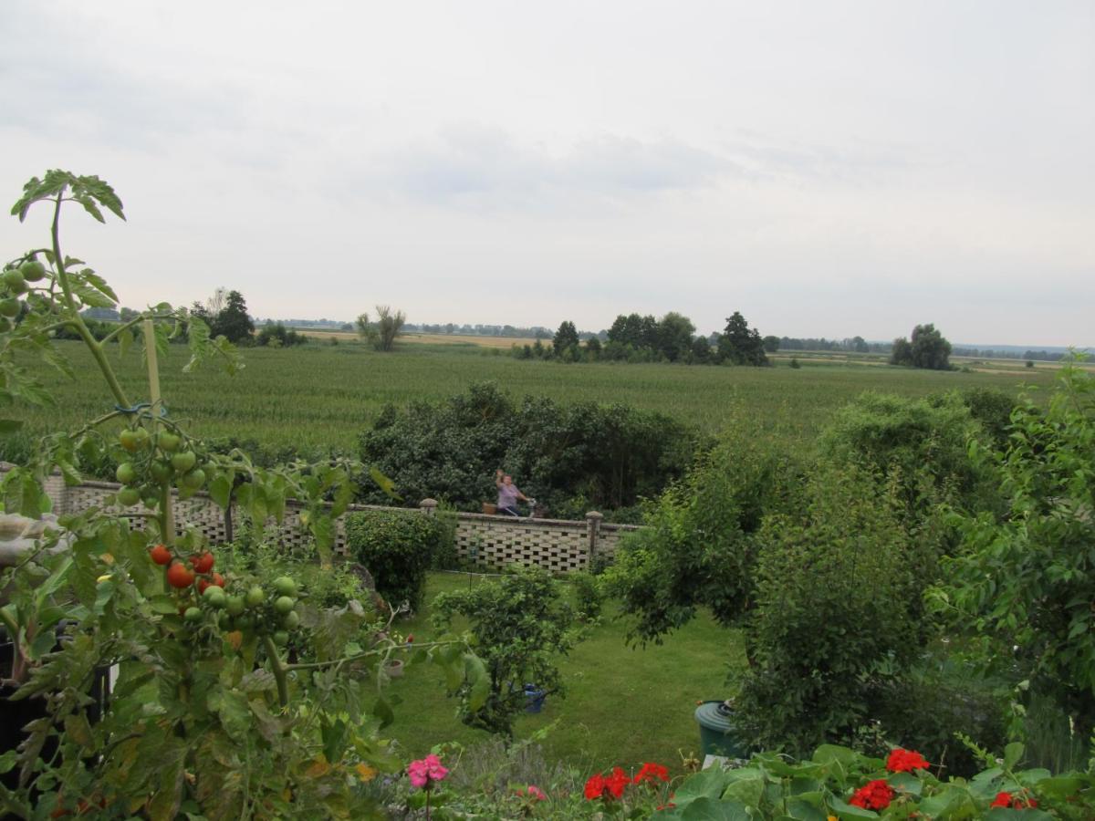 Zum Wiesengrund Im Oderbruch Altglietzen Экстерьер фото
